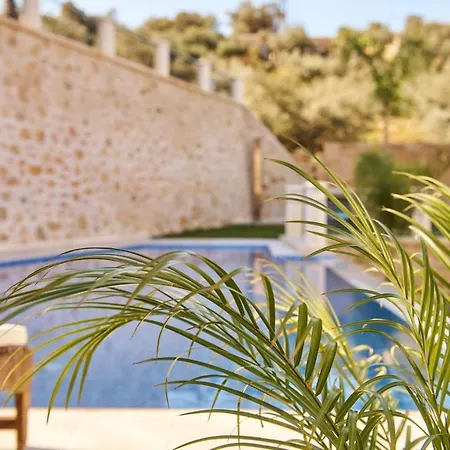 Sunaktis Luxury Villa Chania (Crete)